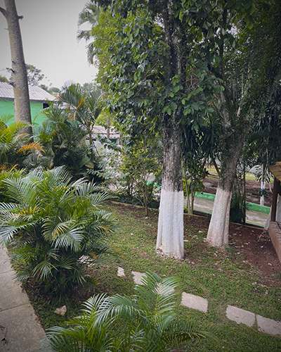 Untitled-1Artboard 5