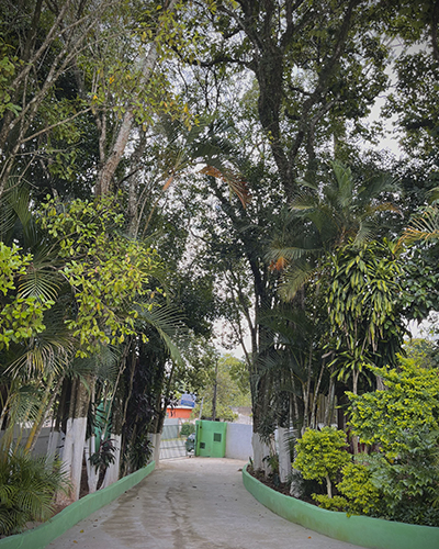 Untitled-1Artboard 7